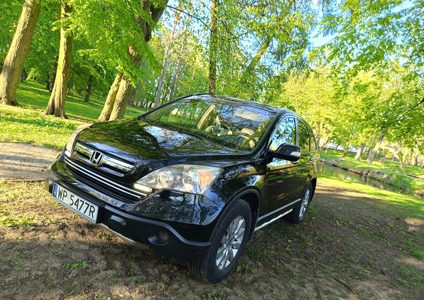 Honda CR-V cena 41700 przebieg: 201000, rok produkcji 2007 z Płock małe 704